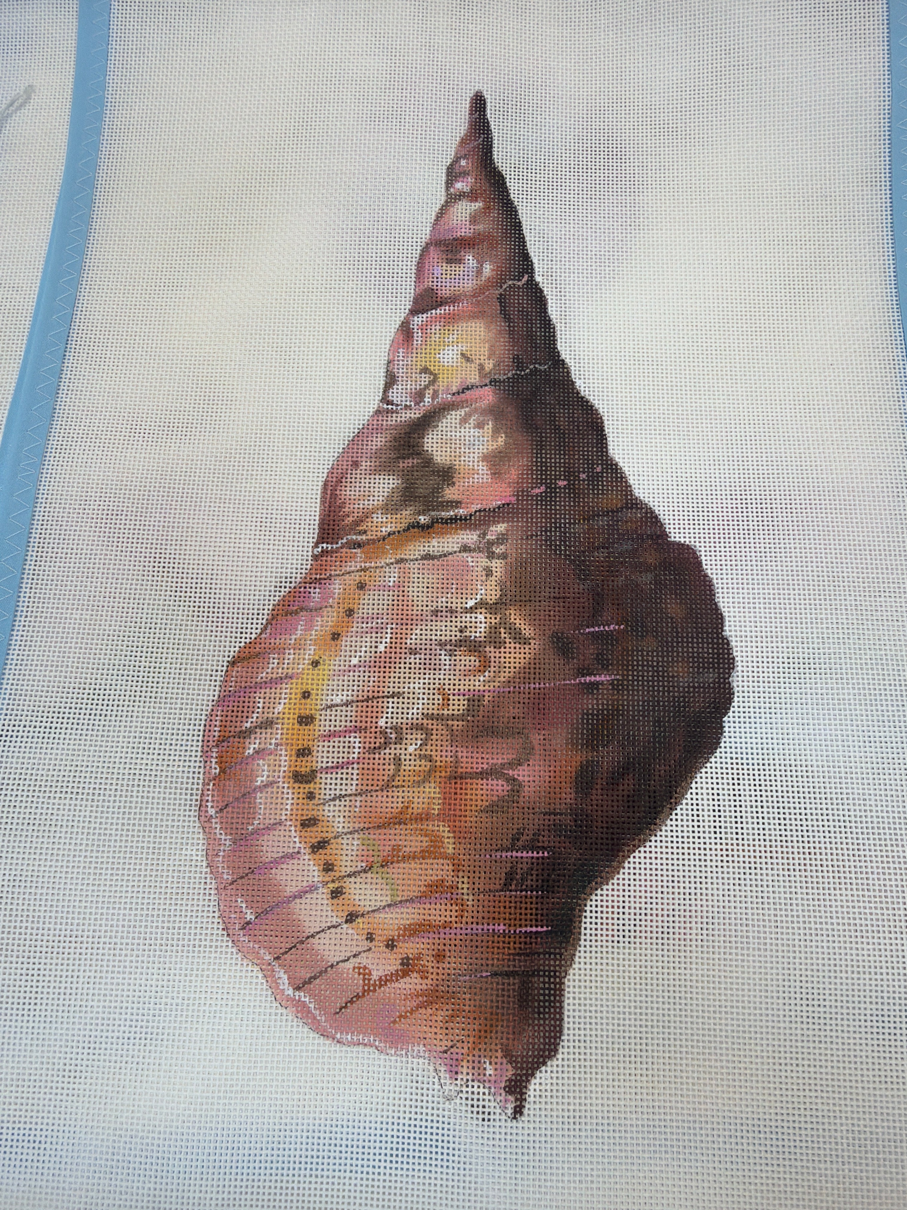 Conch Seashell Back