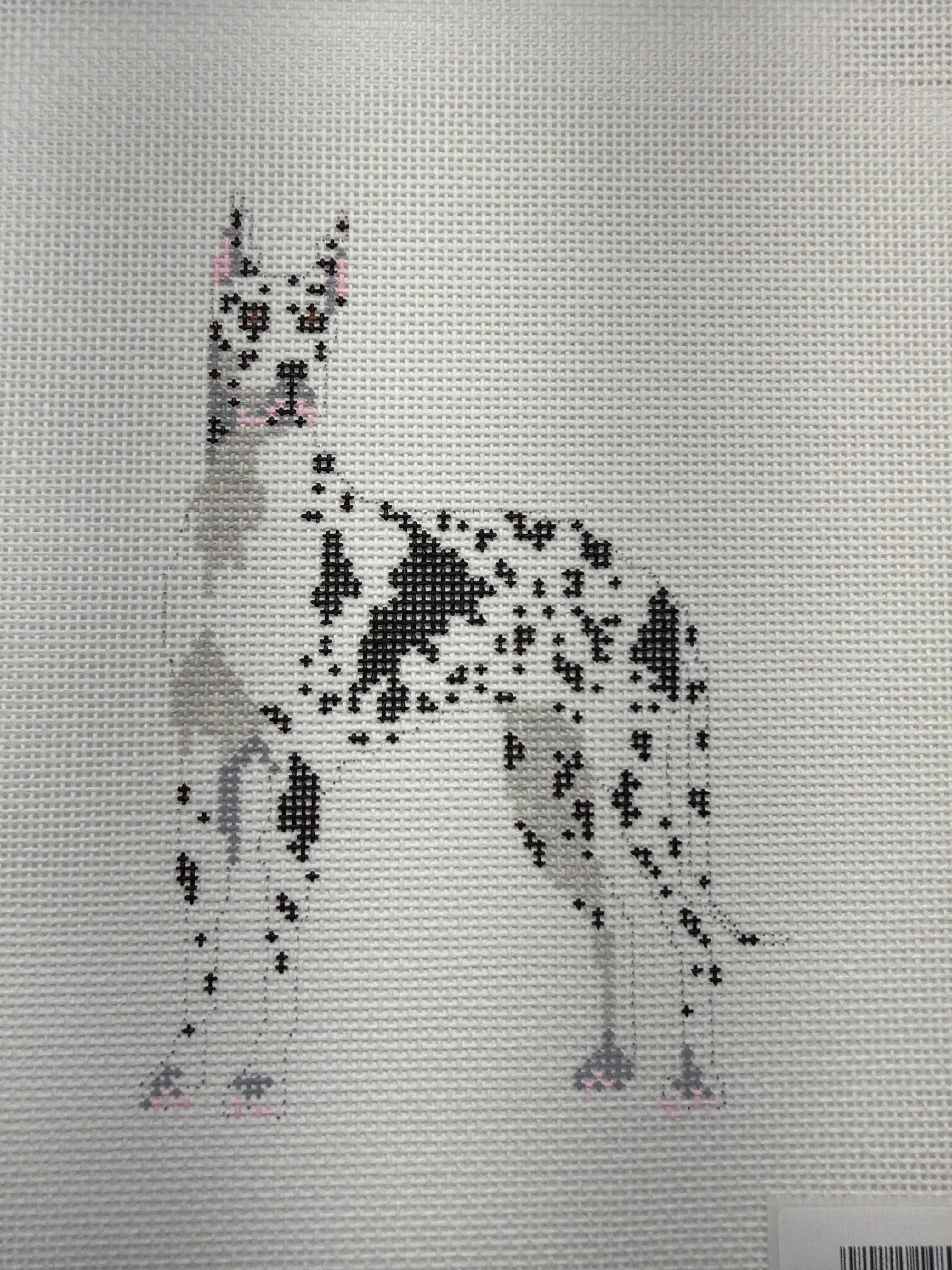 Harlequin Great Dane