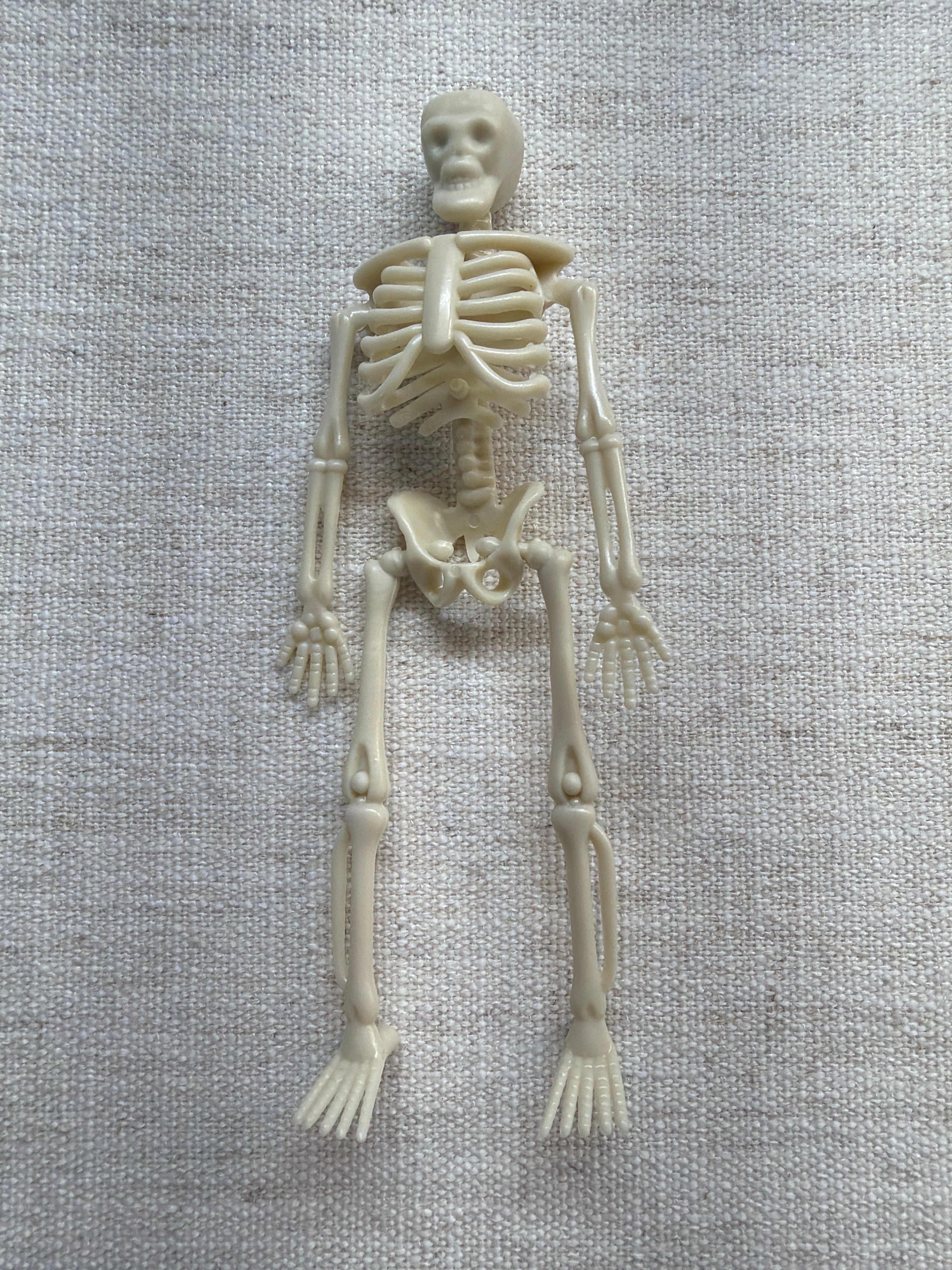 mini skeleton, 6 inch