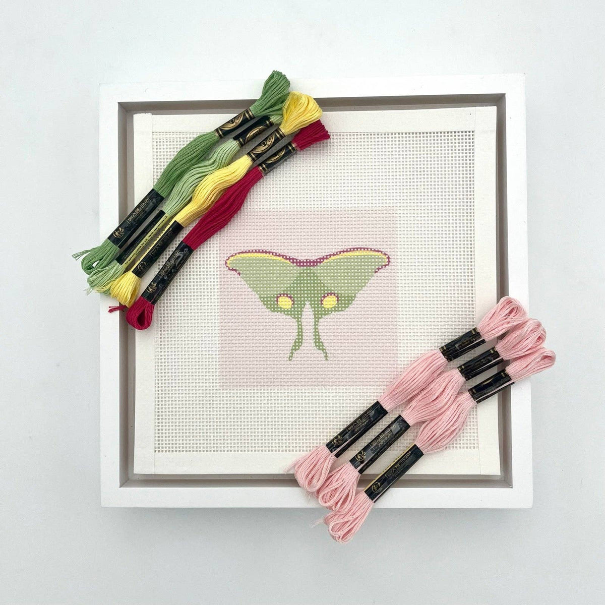 Needlepoint kit with framed canvas featuring green moth motif, includes pink thread