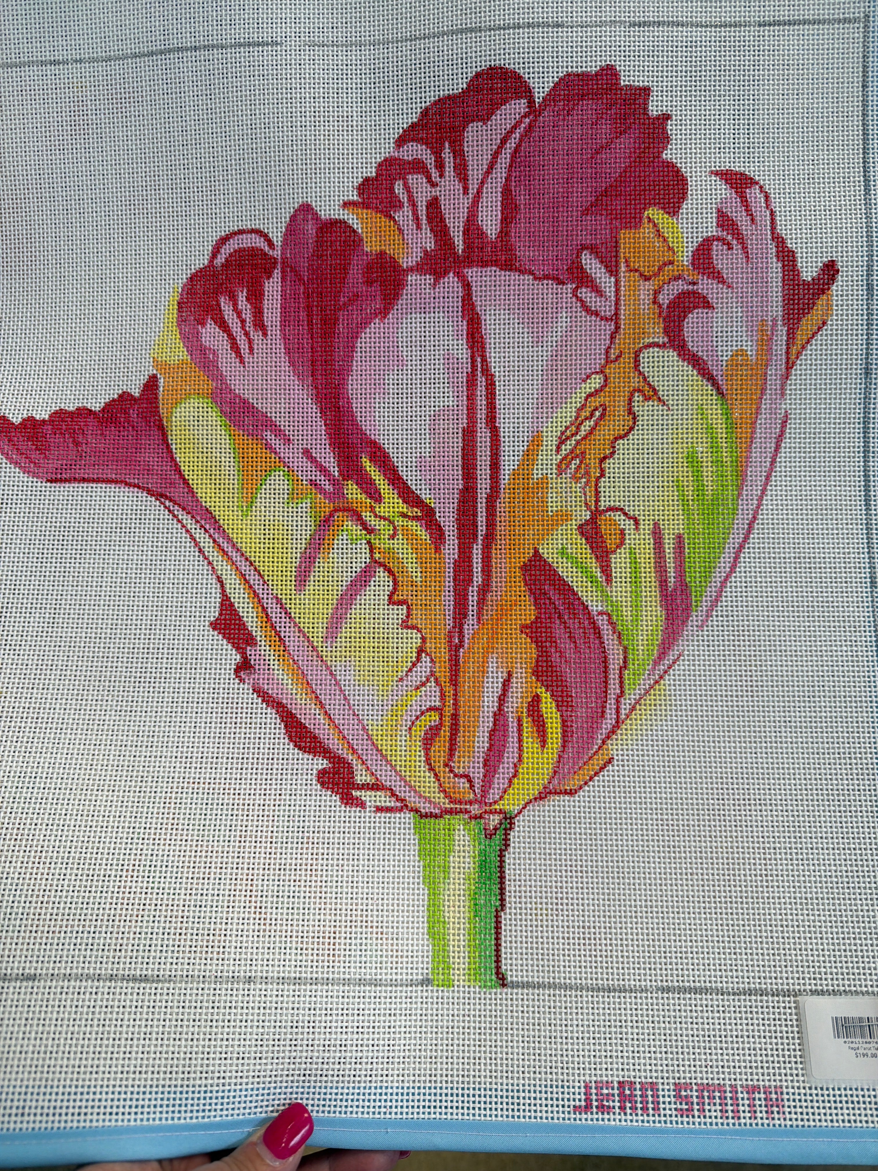 Regal Parot Tulip