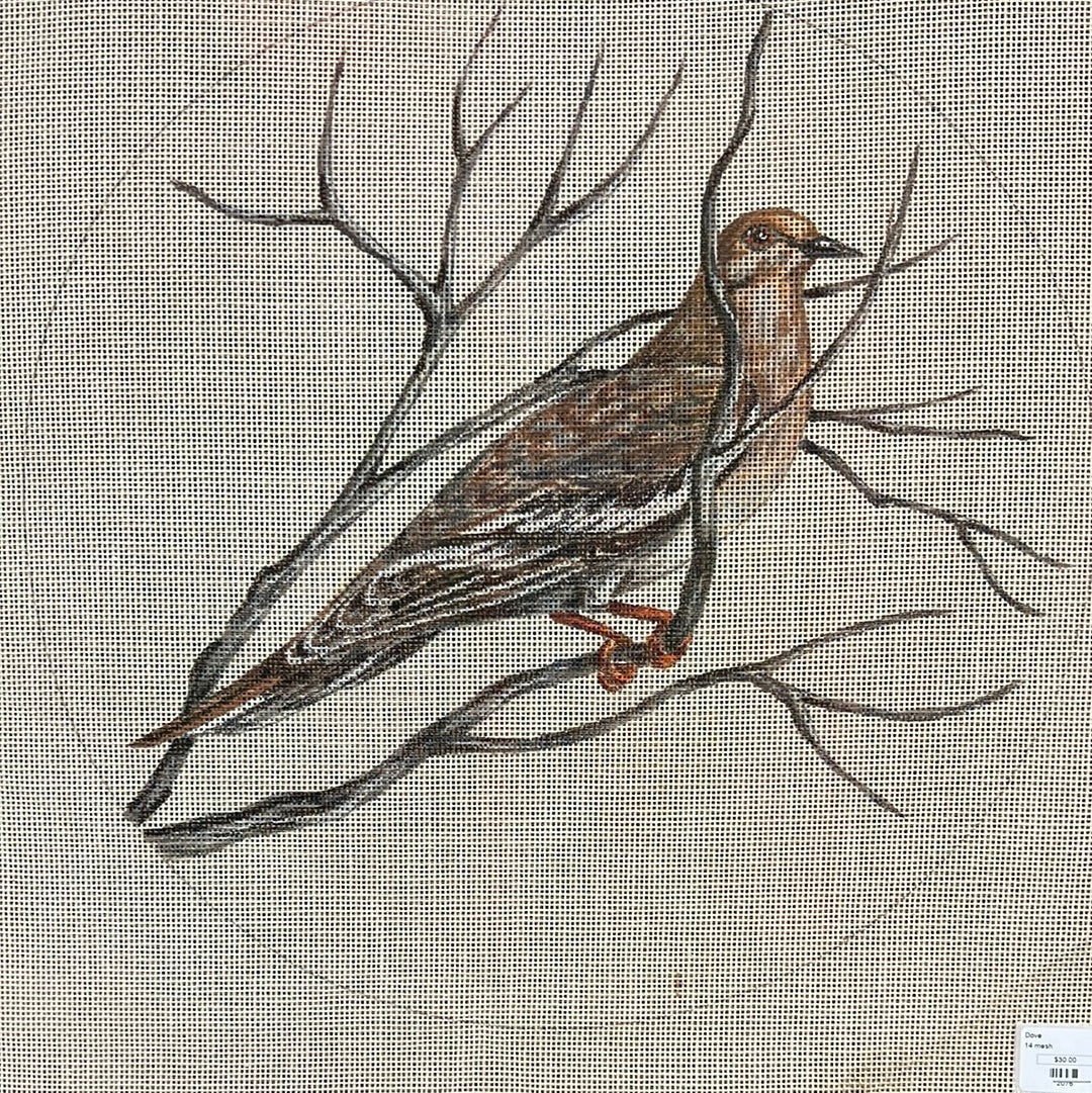 Dove