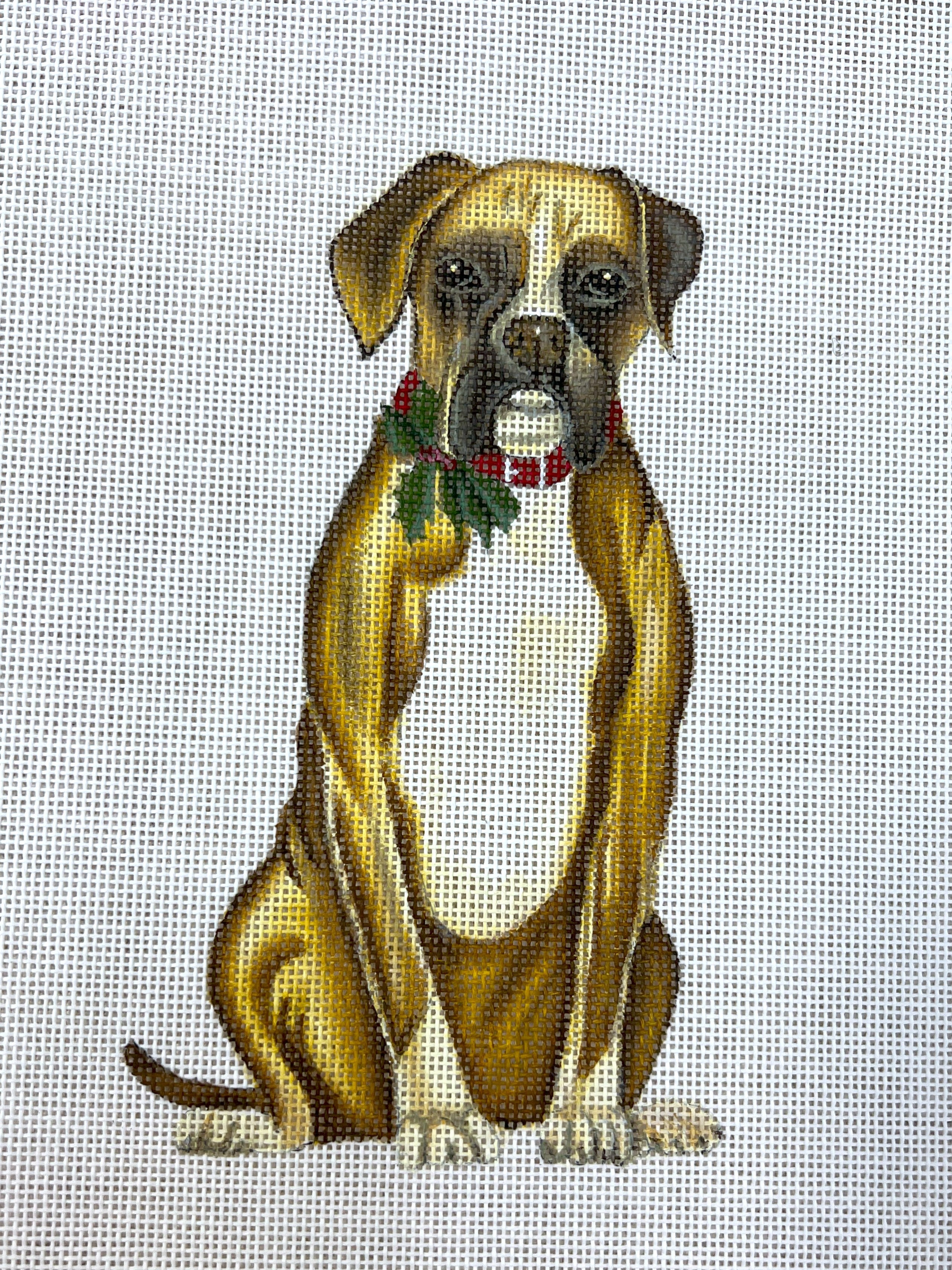 Boxer Stand-up