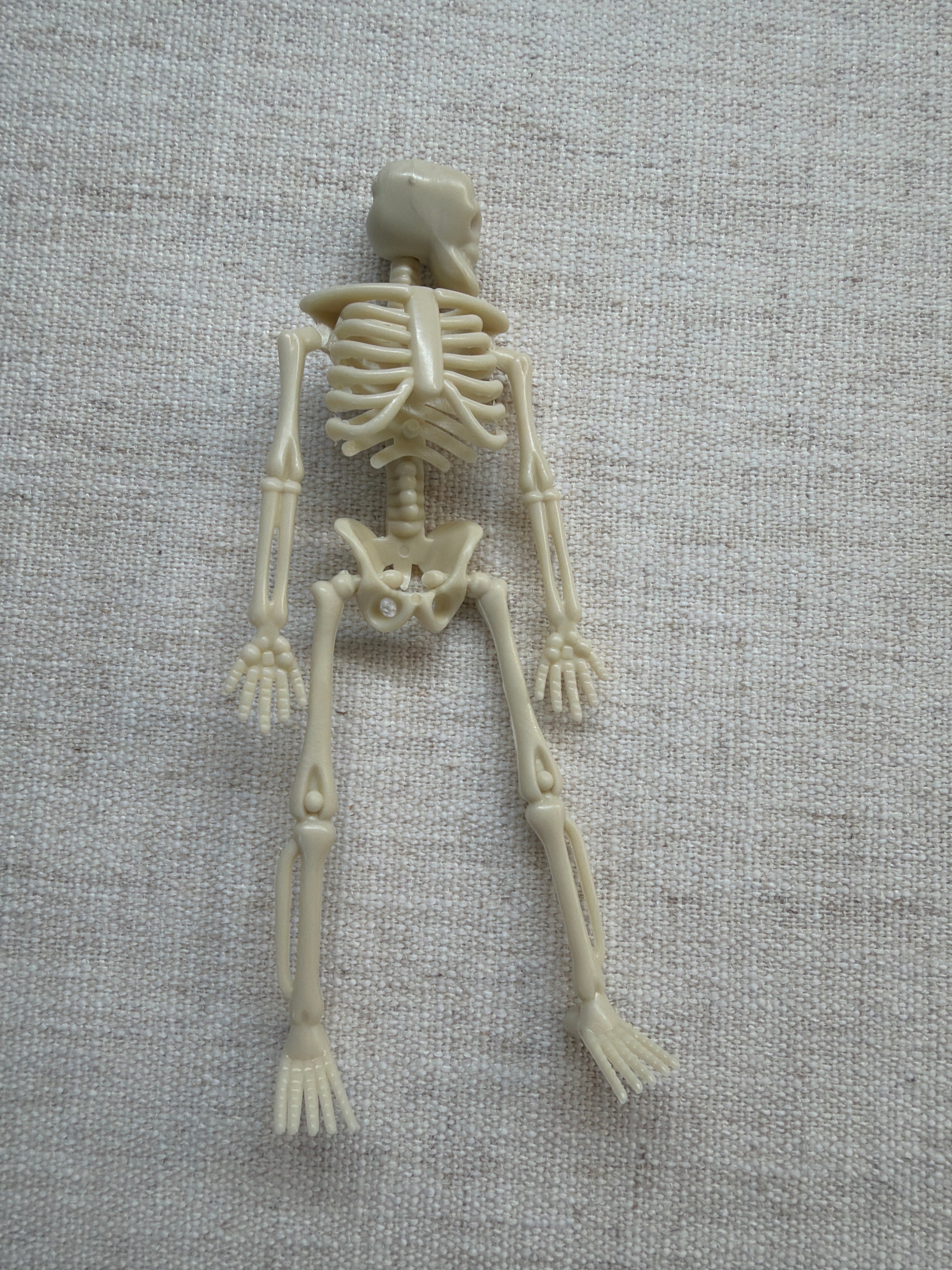 mini skeleton, 6 inch