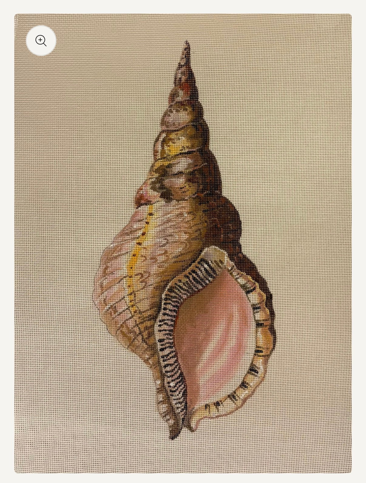 Shell