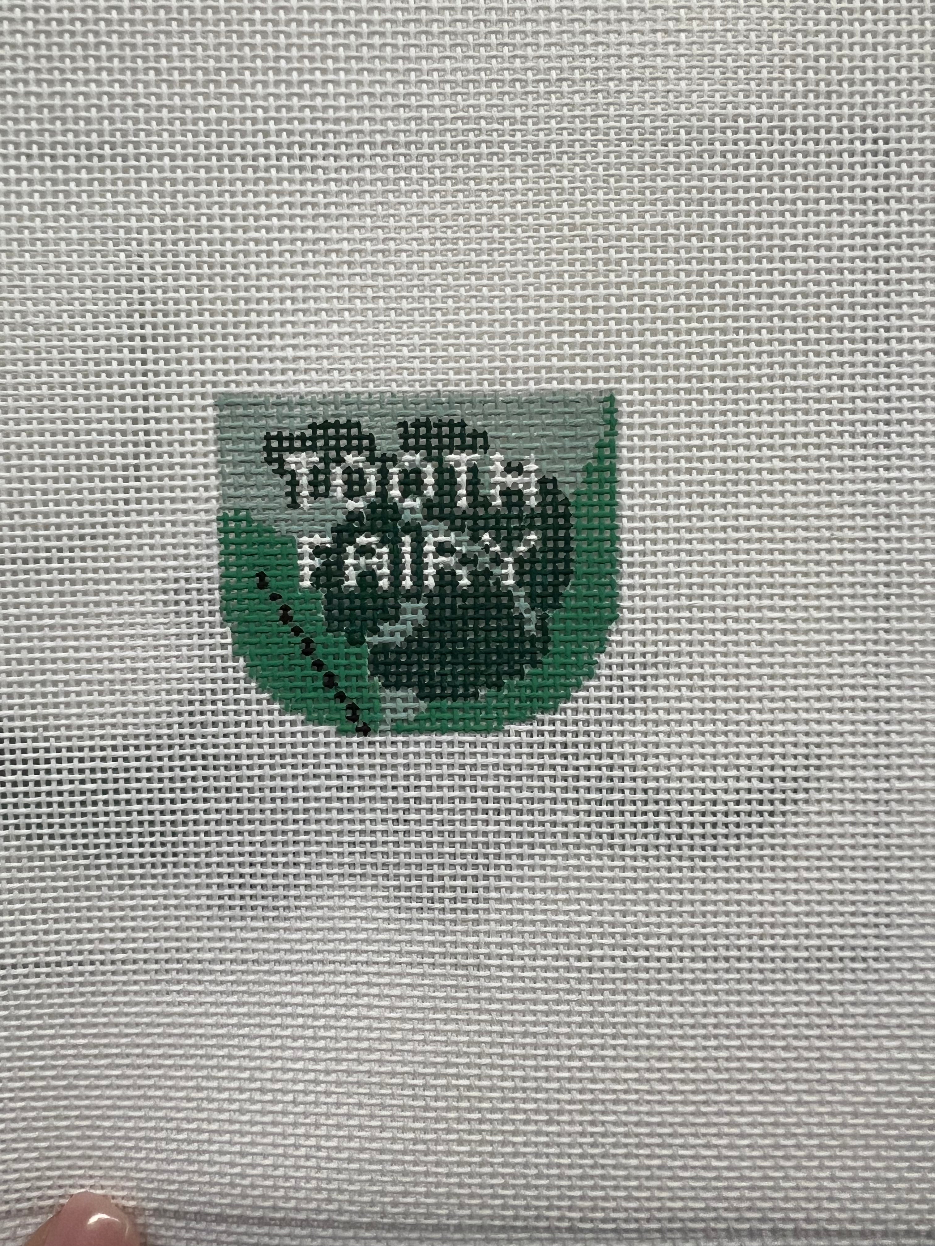 Dinosaur Tooth Fairy Pillow