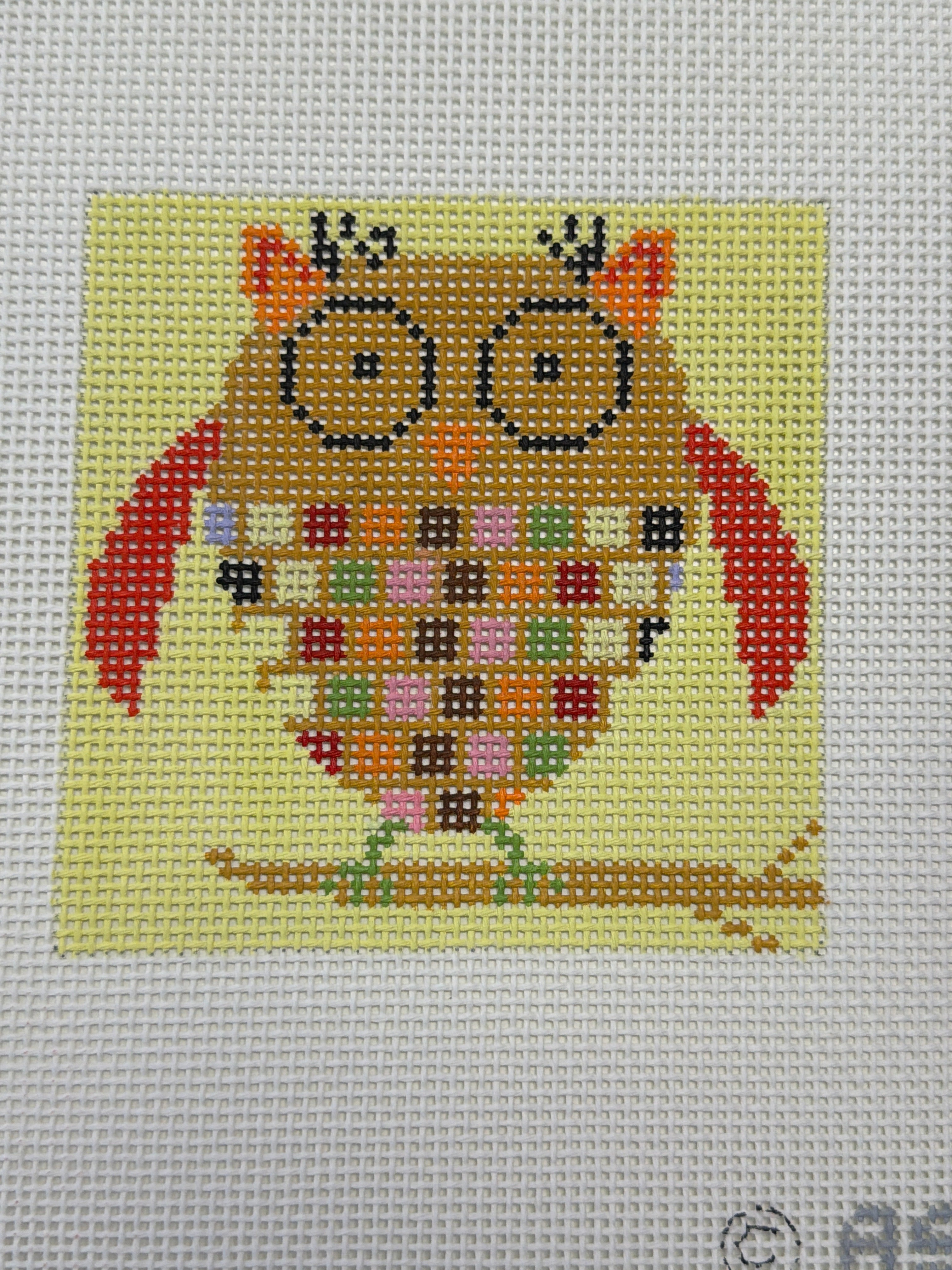 Owls from BOAF