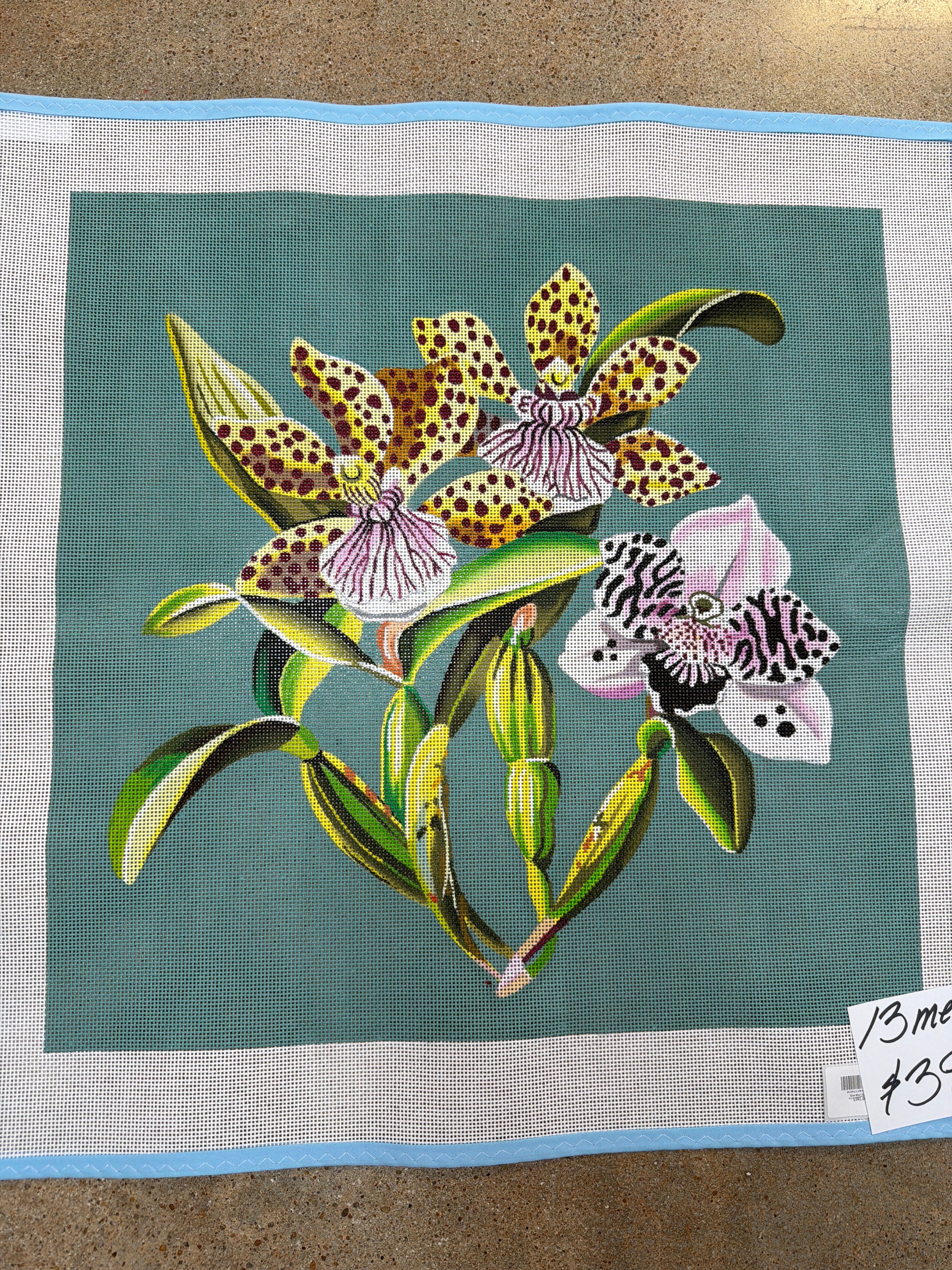 Speckled Orchid