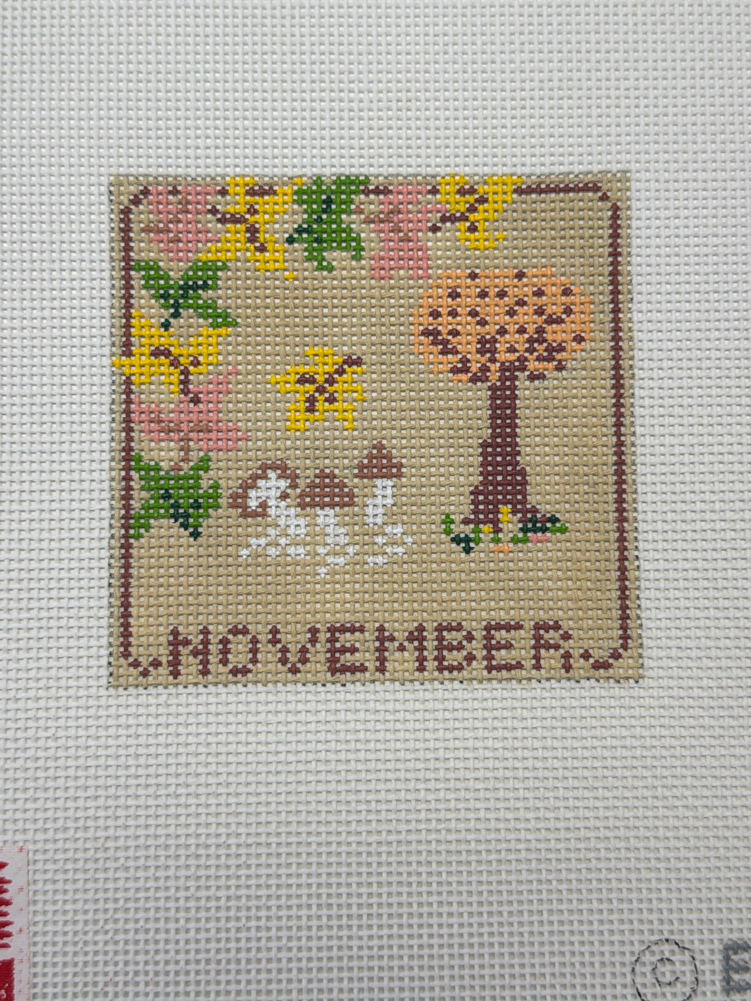 Twelve Months of BOAF