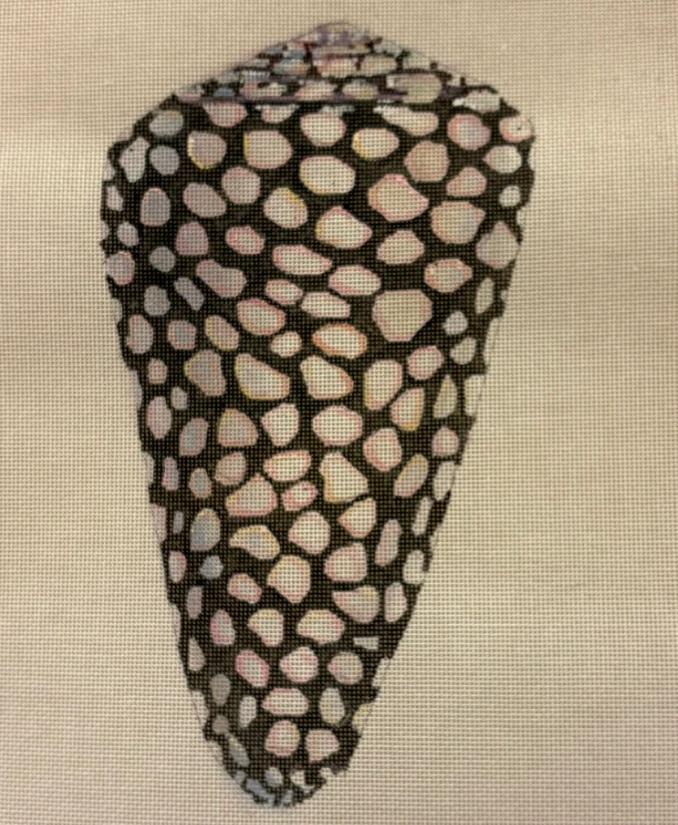 Large sea shell with dark body and white pebble-like pattern