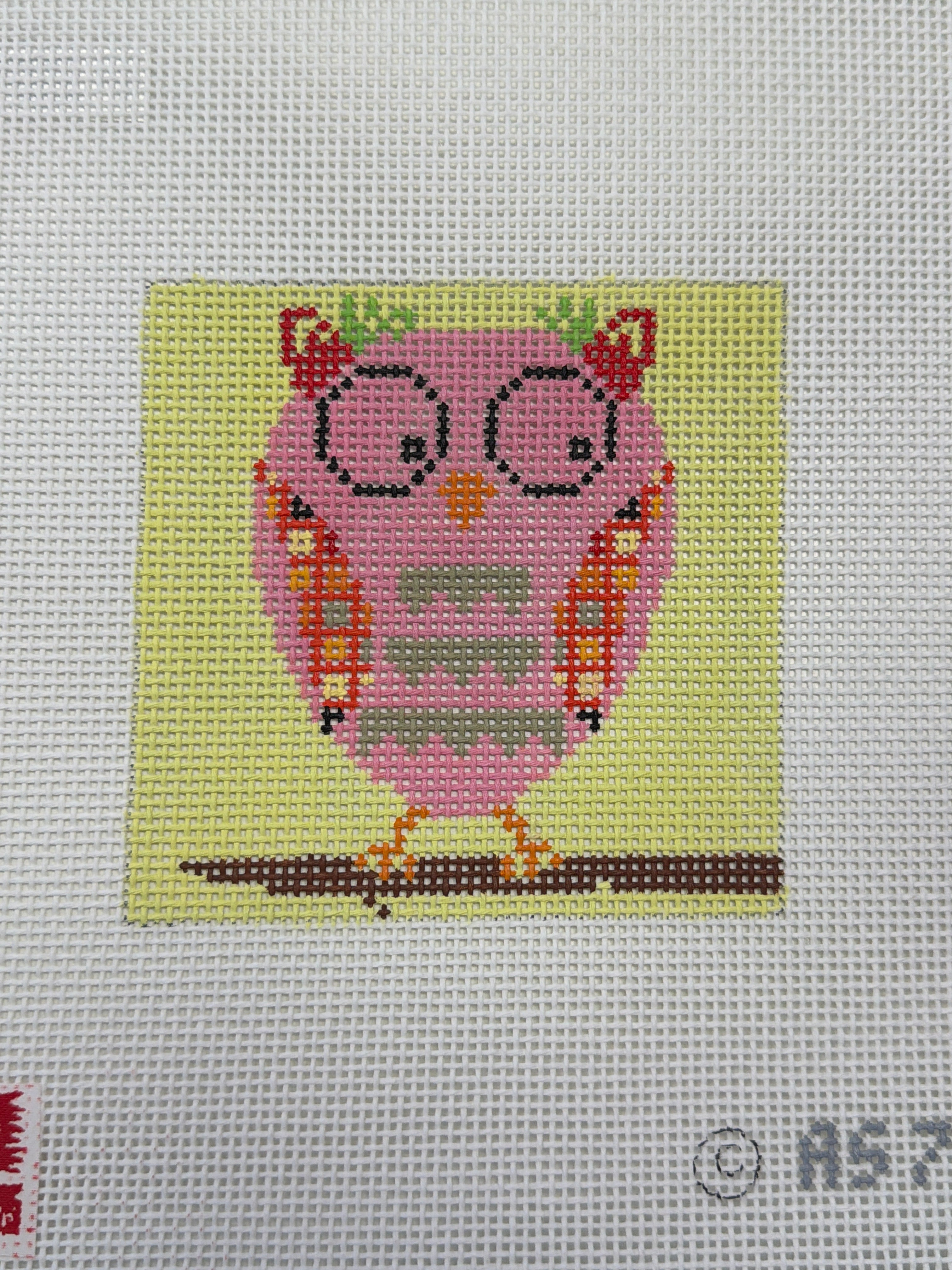 Owls from BOAF