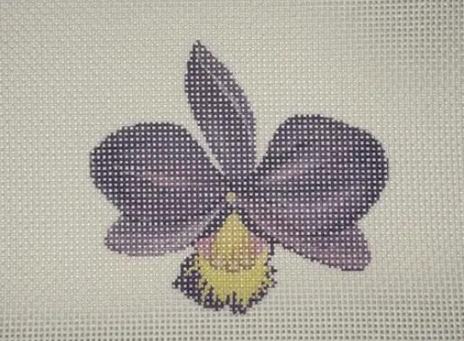 Purple Orchid