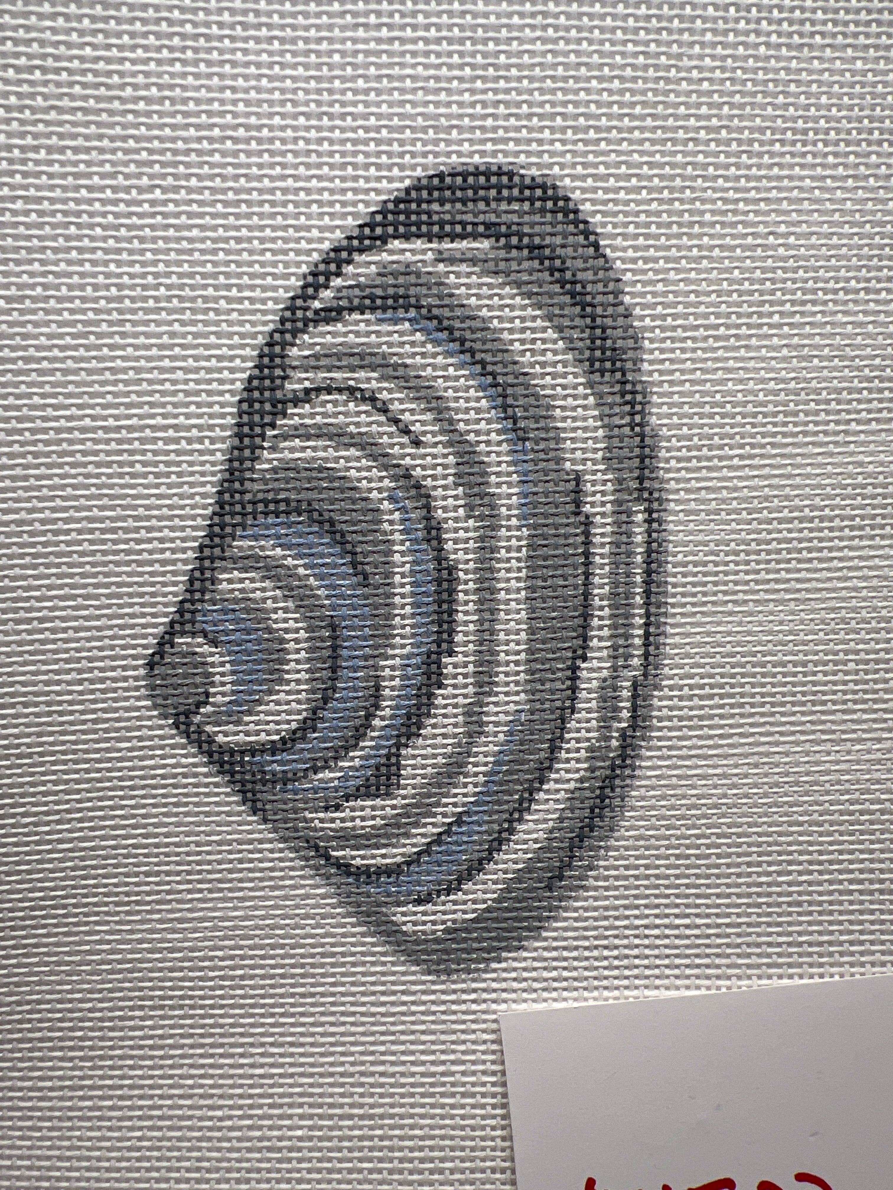Oyster Shell