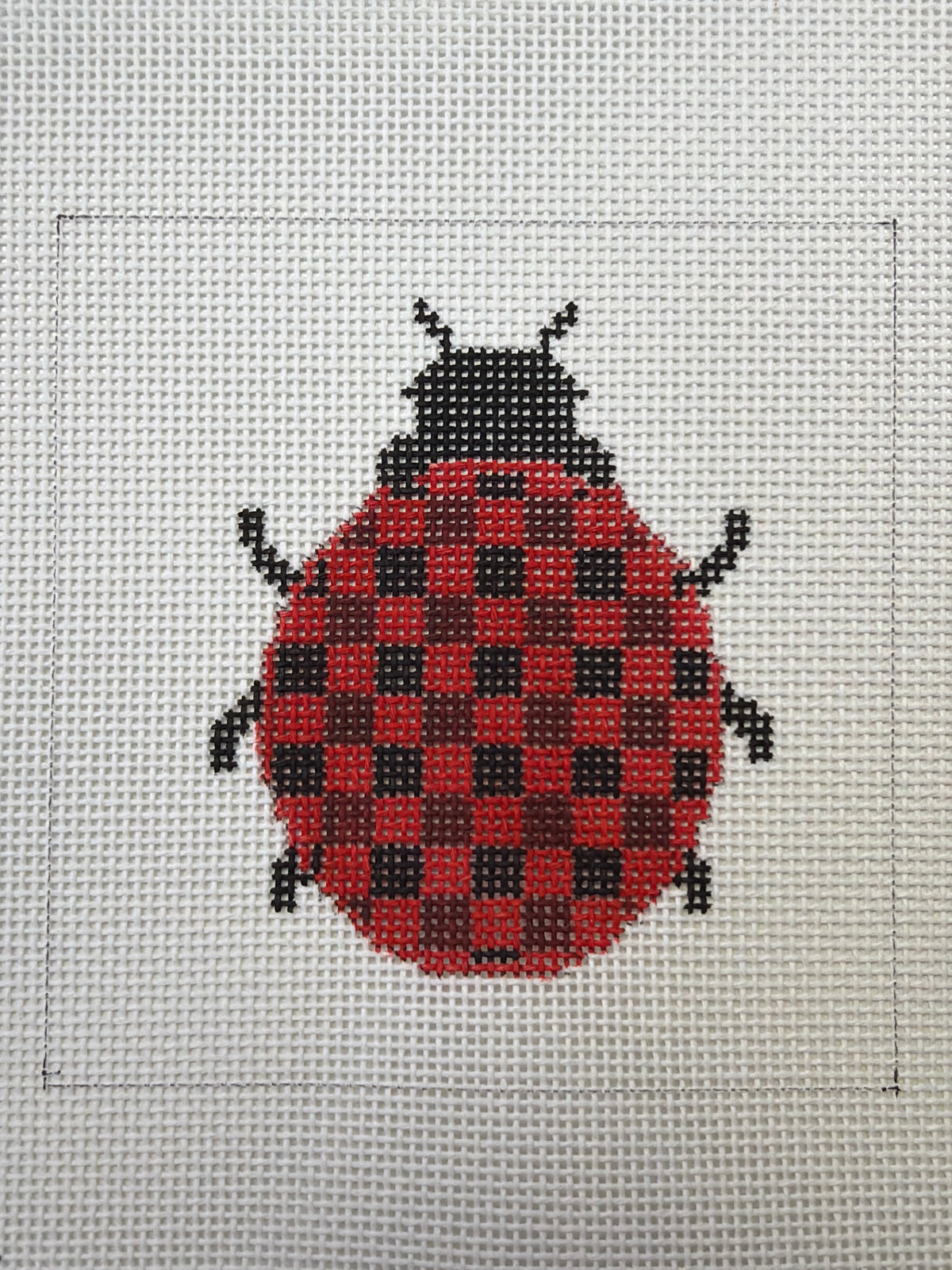 Ladybug
