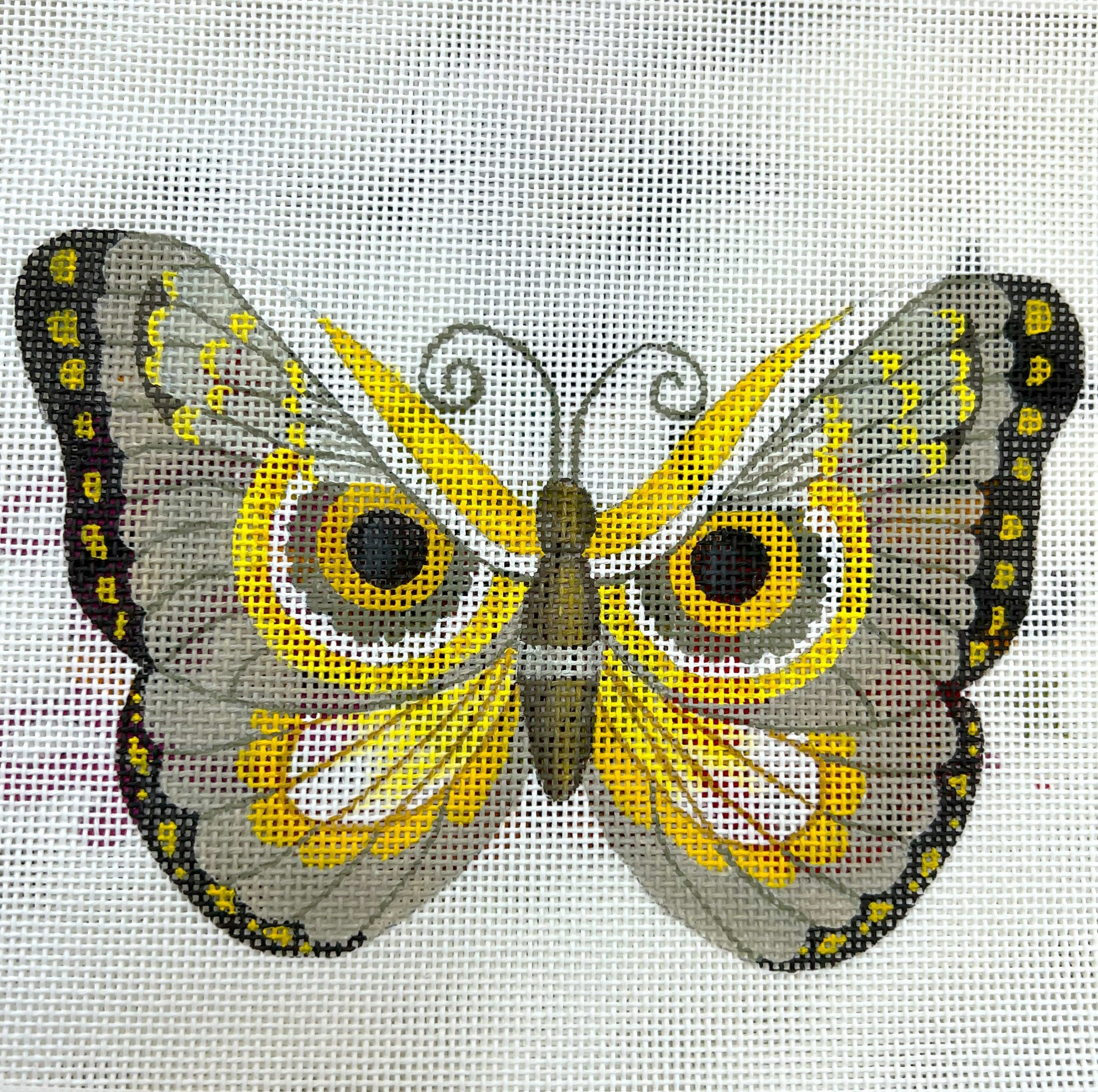 Owl Faced Butterfly
