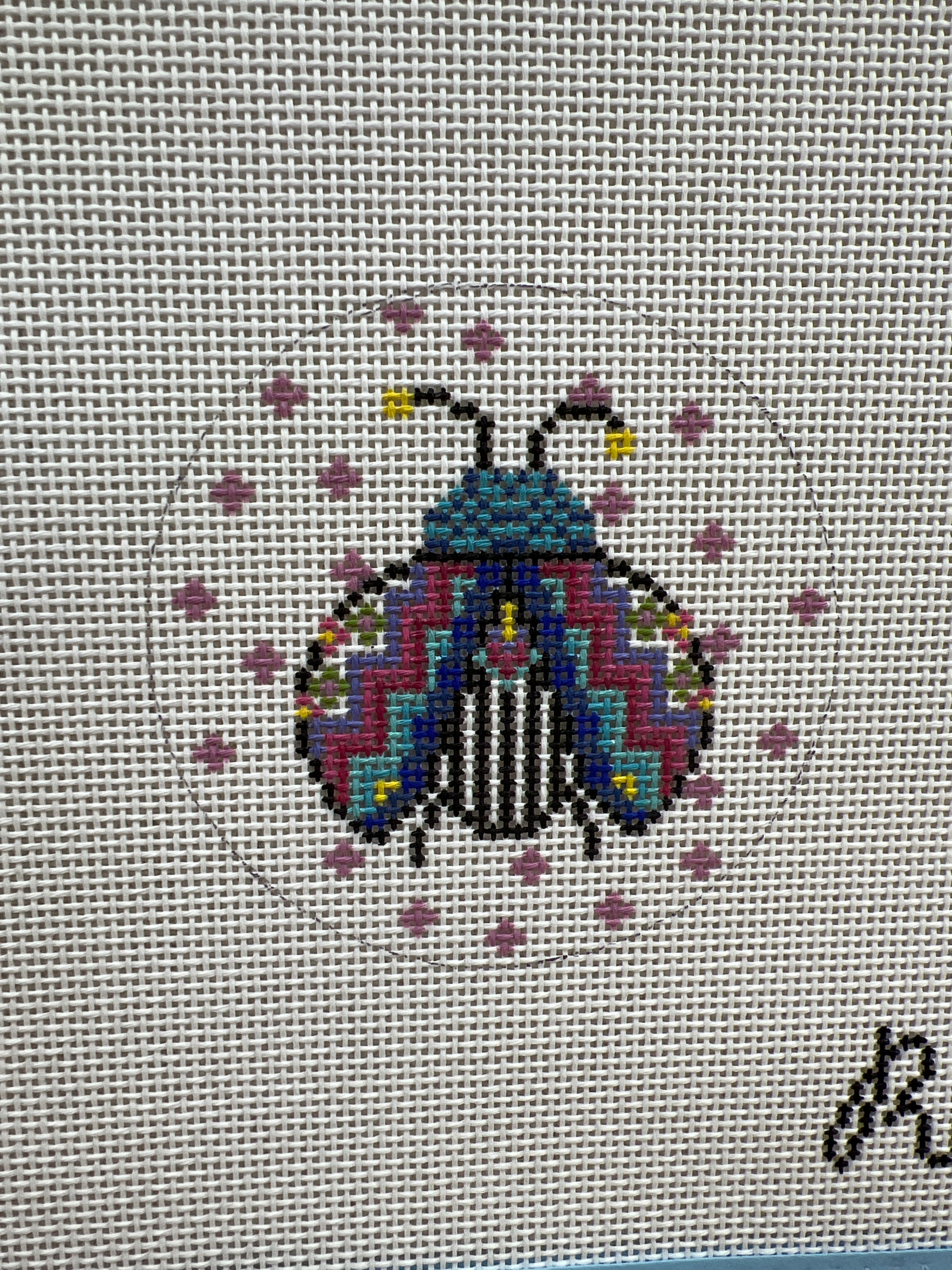 Disco Ladybug