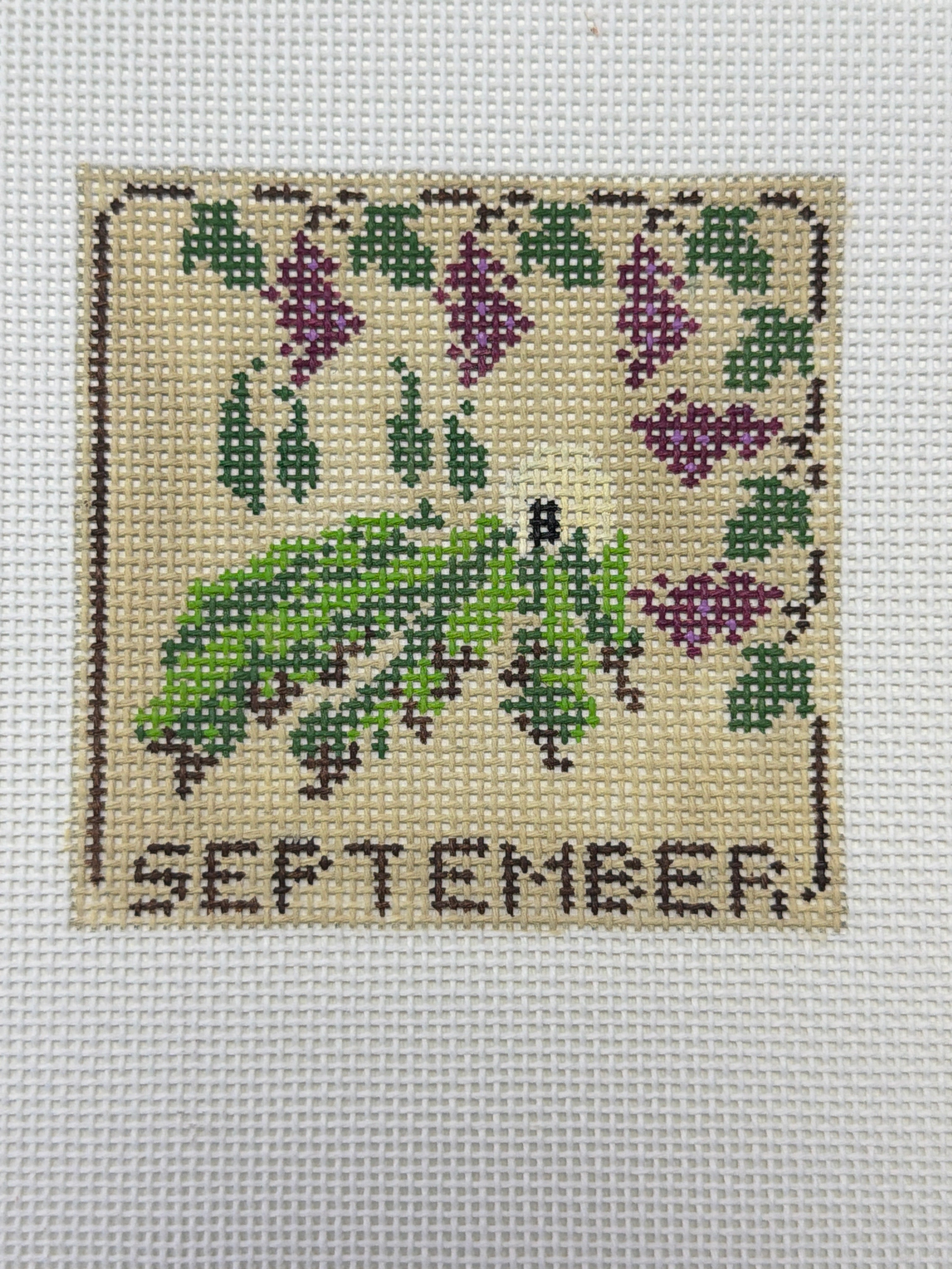 Twelve Months of BOAF