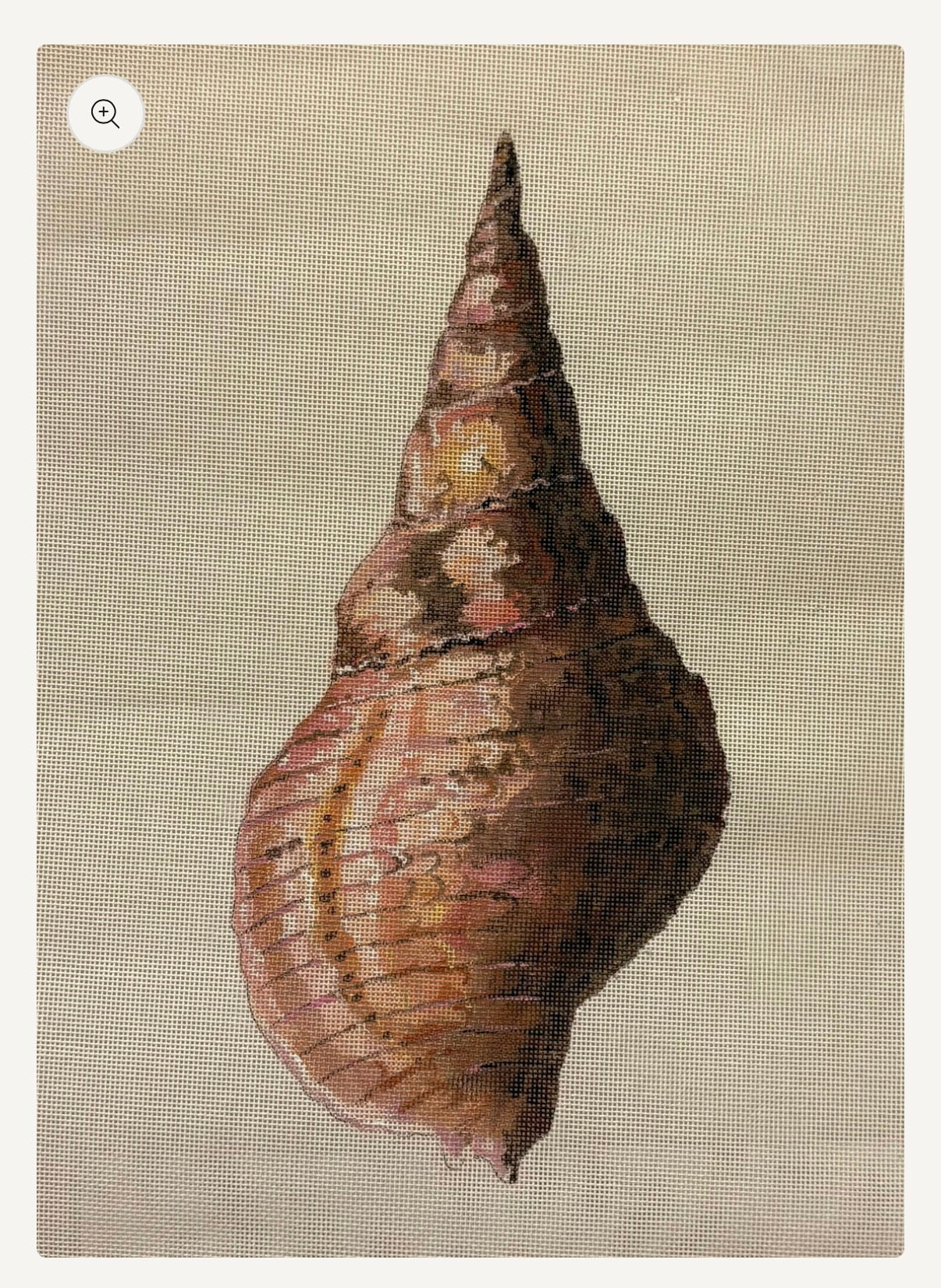 Shell