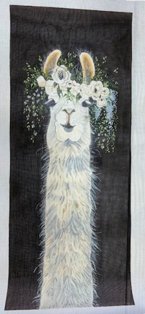 Dolly Llama