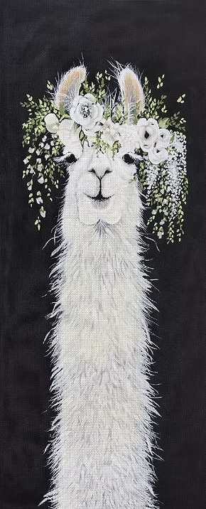 Dolly Llama