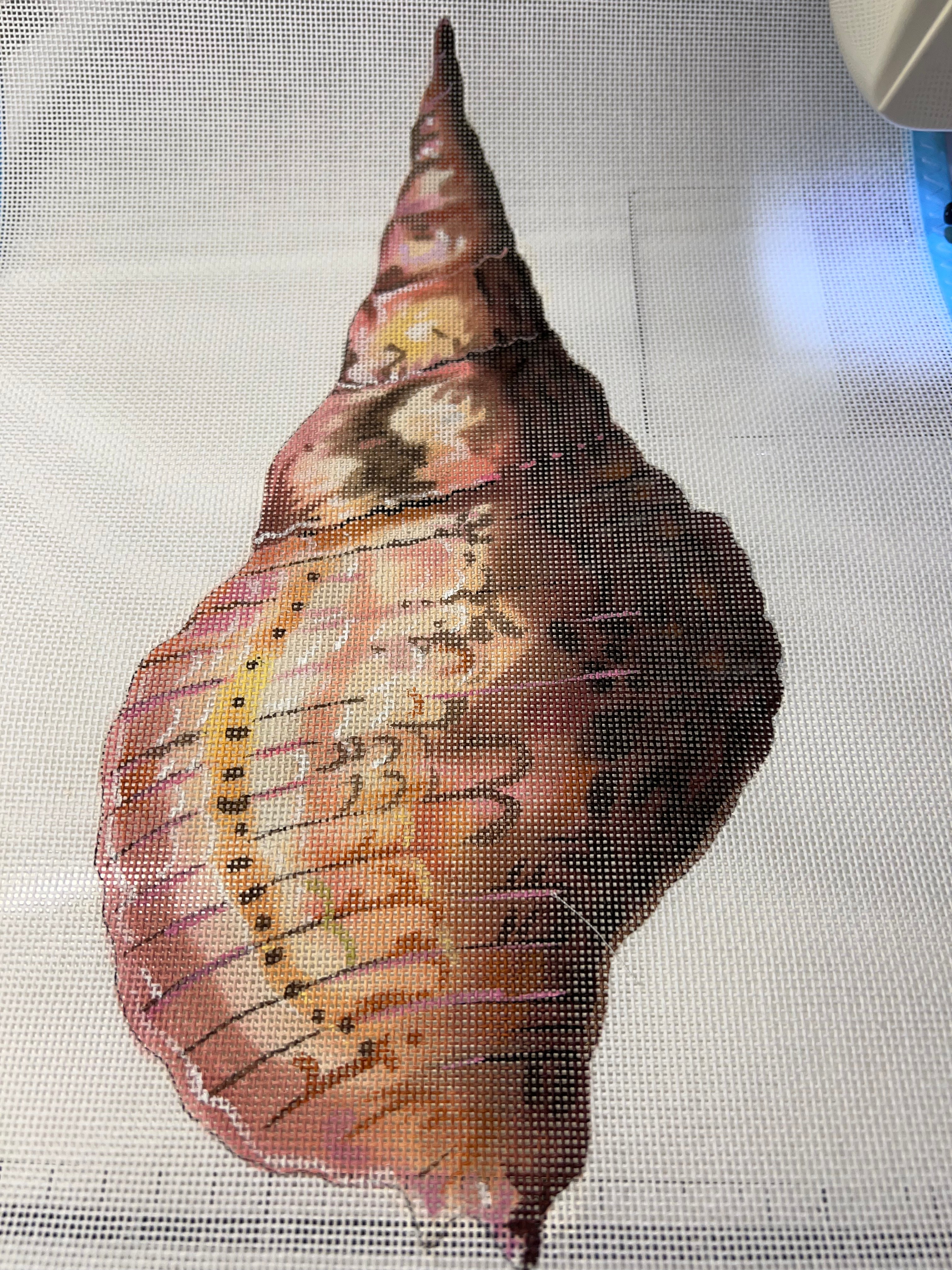 Conch Seashell Back