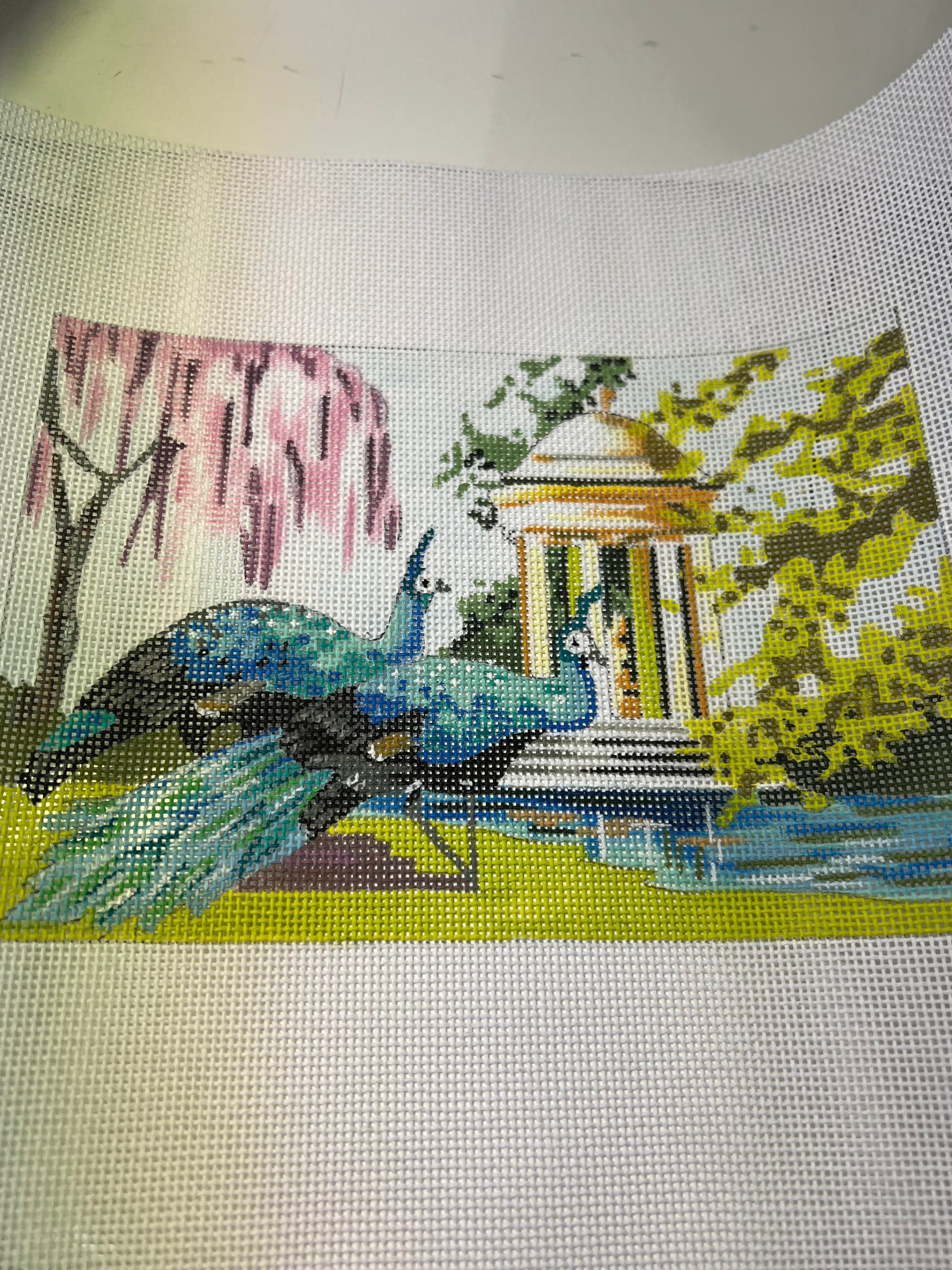 Peacock COP