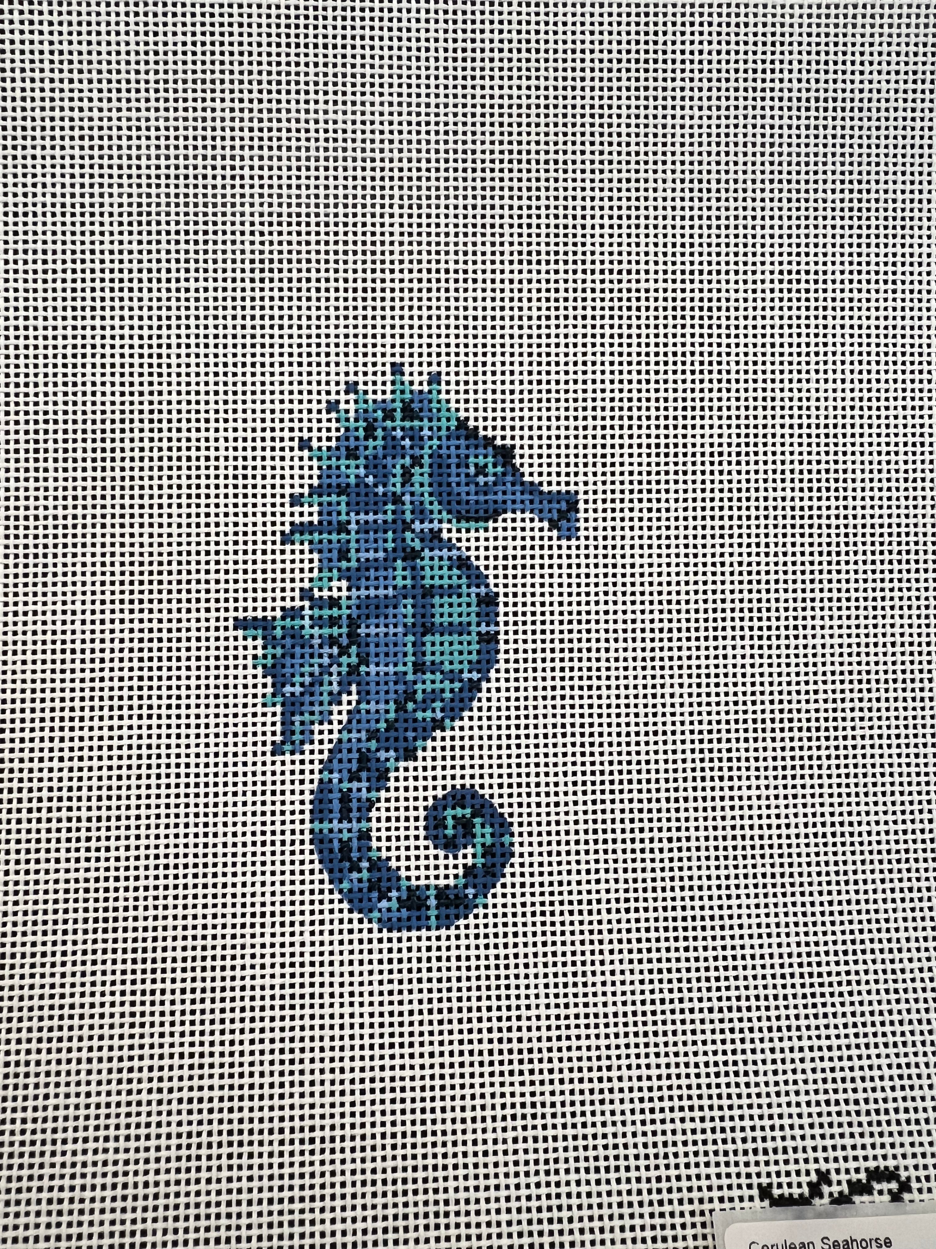 Cerulean Seahorse