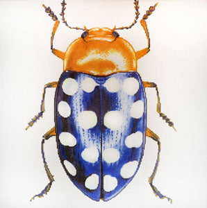 Big Bug Blue w/White Dots
