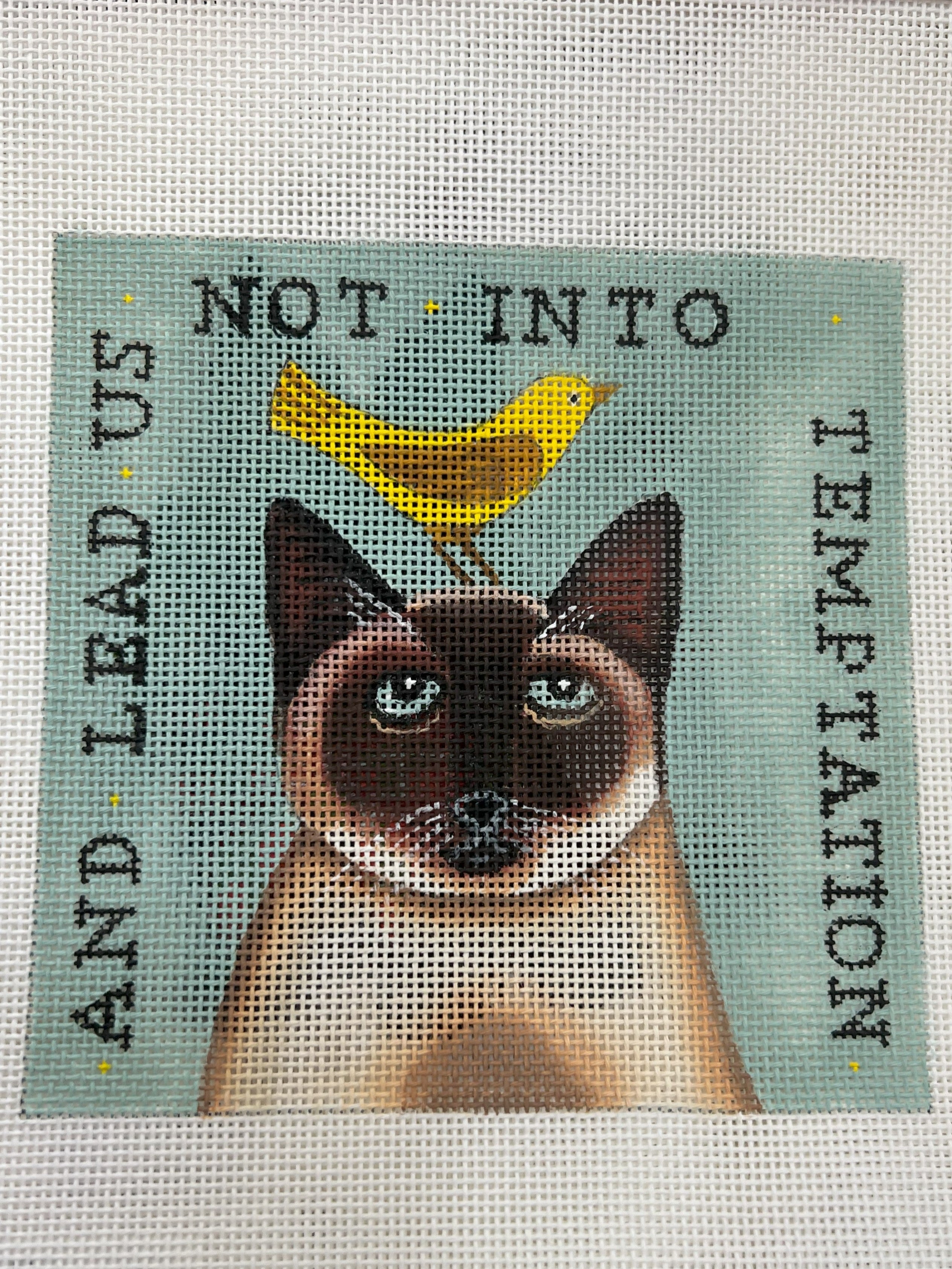 Siamese Cat