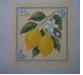 Lemon stamp with yellow lemon illustration in a square frame