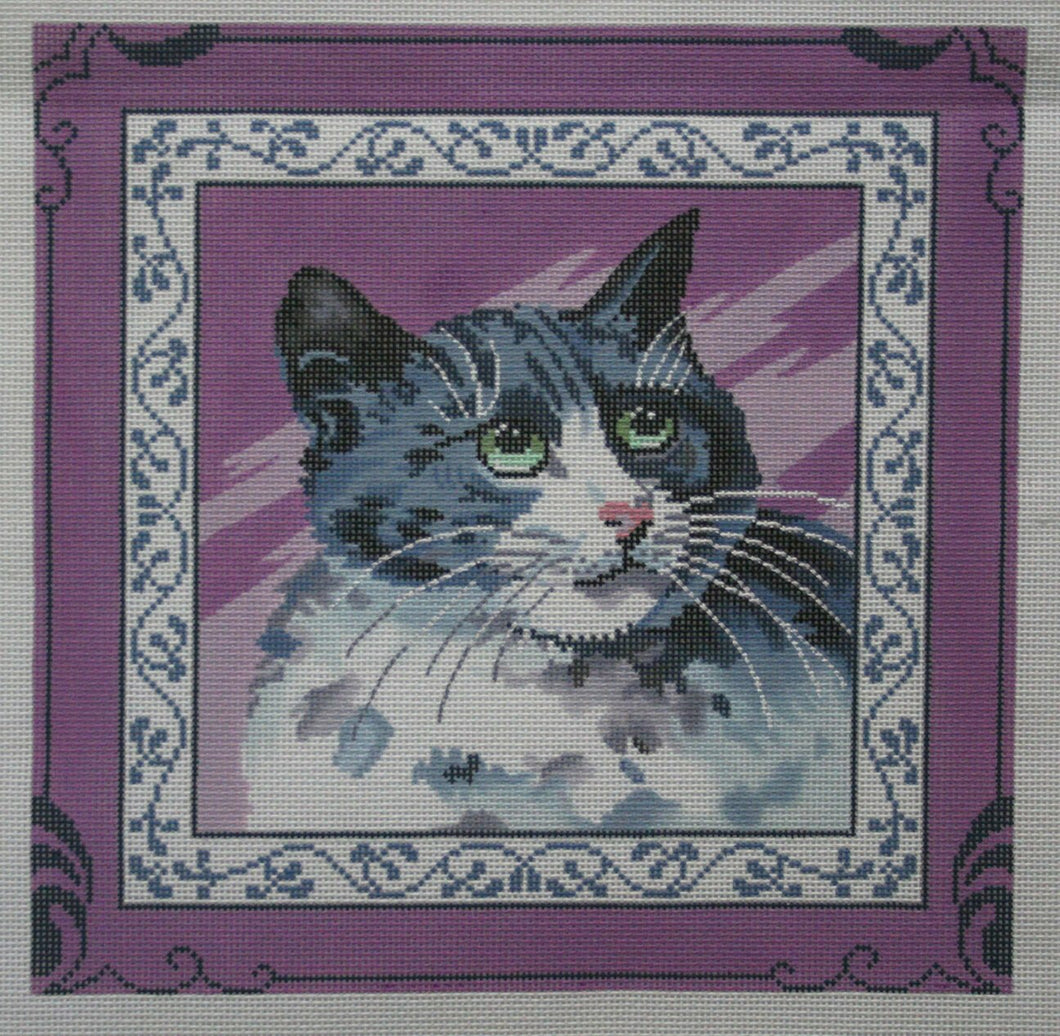 Cat on Purple