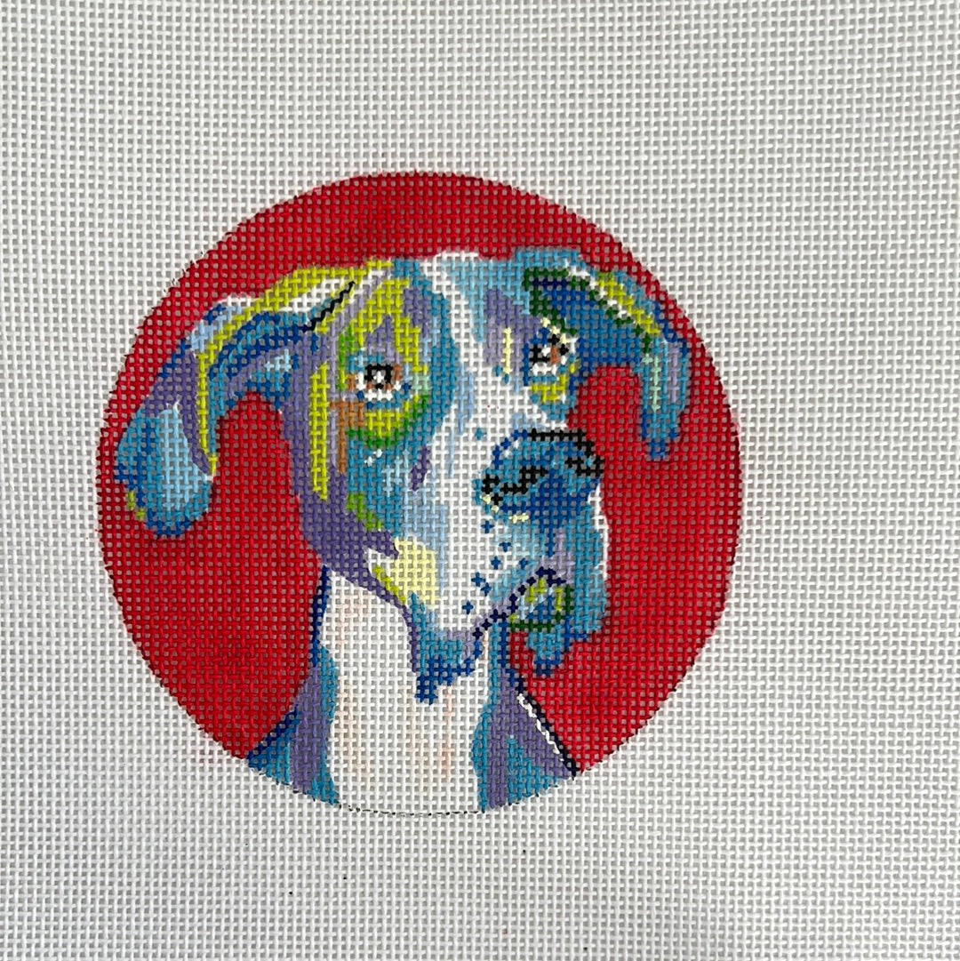 Dog Portraits from Megan Carn