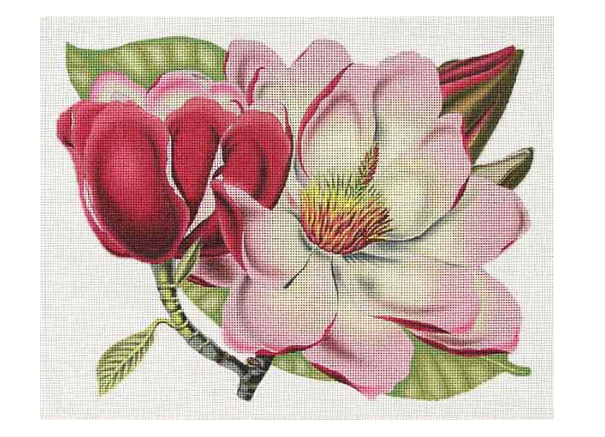 Pink Magnolia
