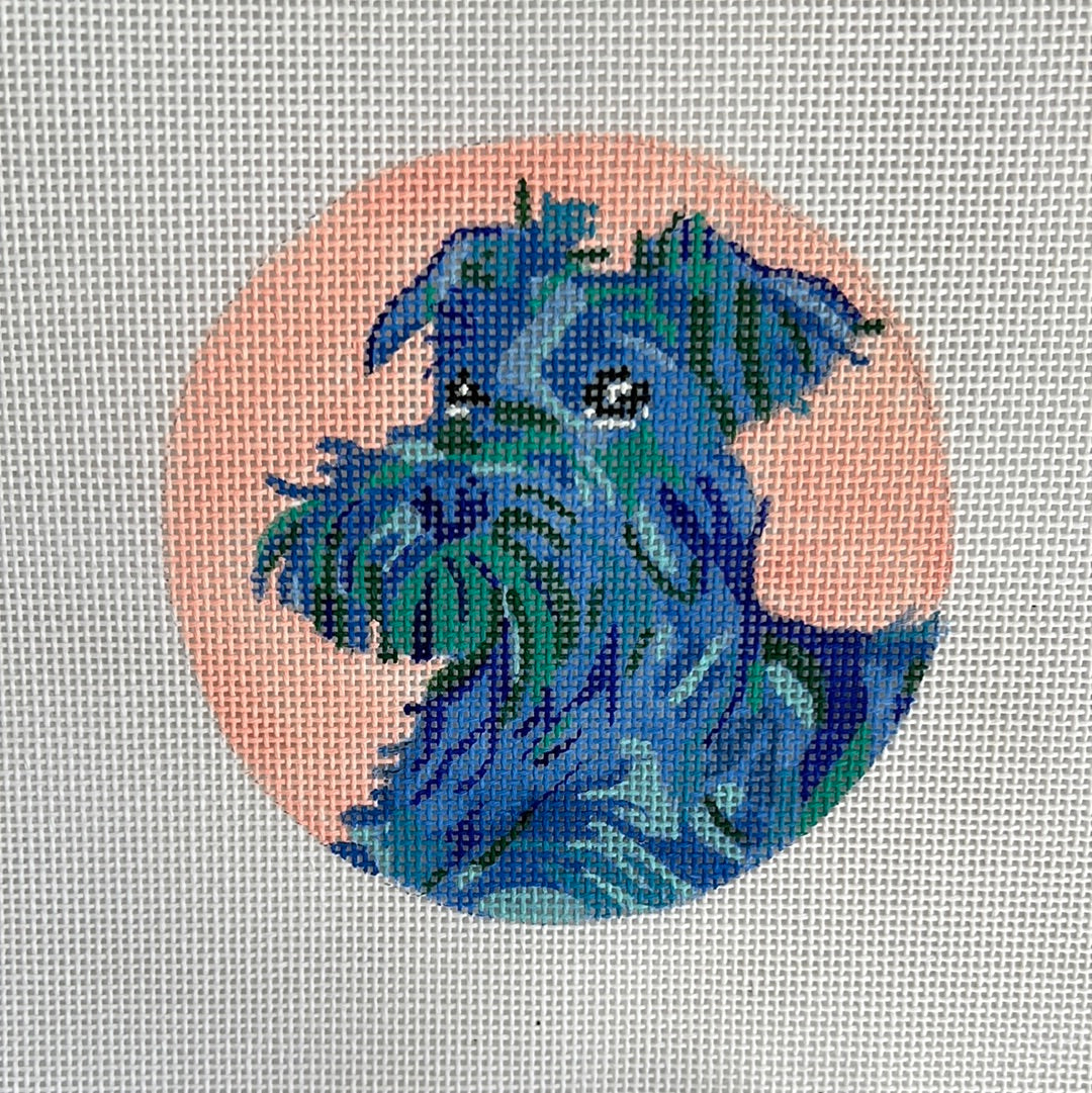 Dog Portraits from Megan Carn